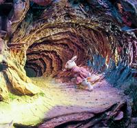 Down the Rabbit Hole