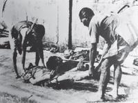 Dead Vietnamese from Starvation: The Great Vietnam Famine (19441945)